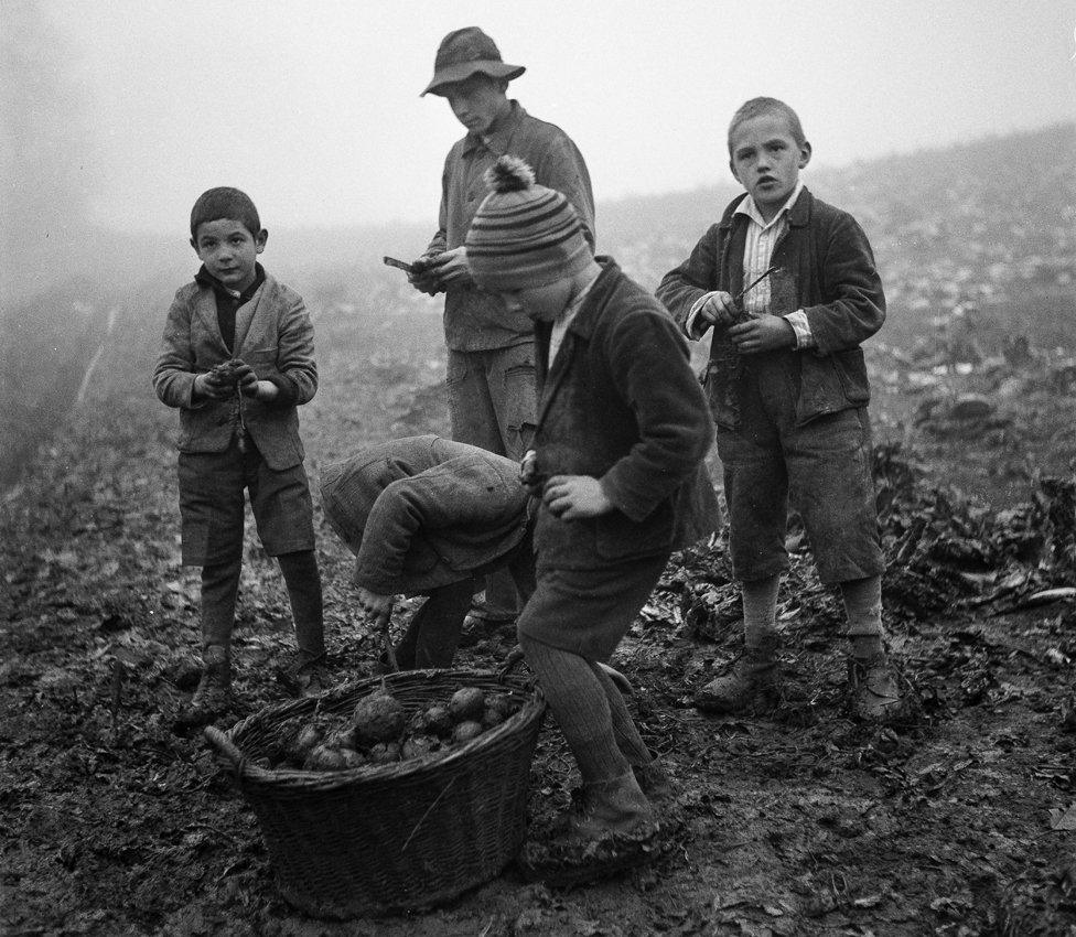 Archive photo of boys with a basket of vegetables