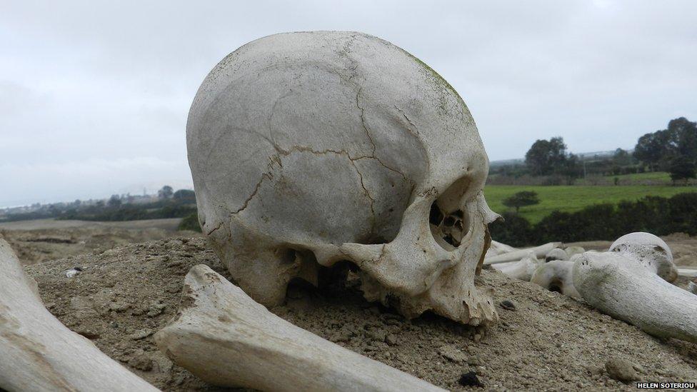 A skull at Huaca Malena