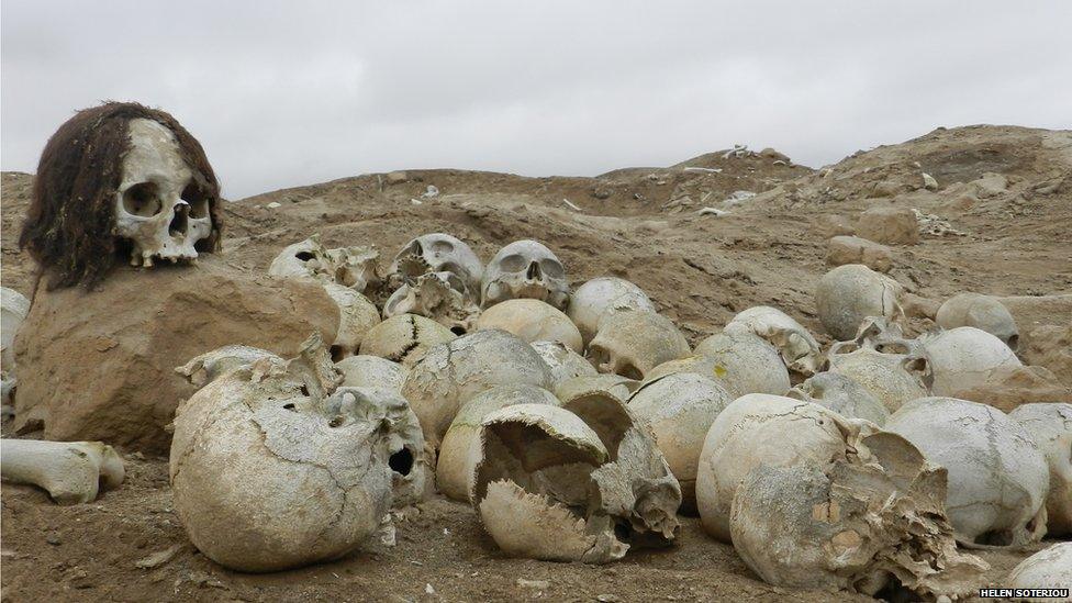 Skulls lying on the ground in Huaca Malena