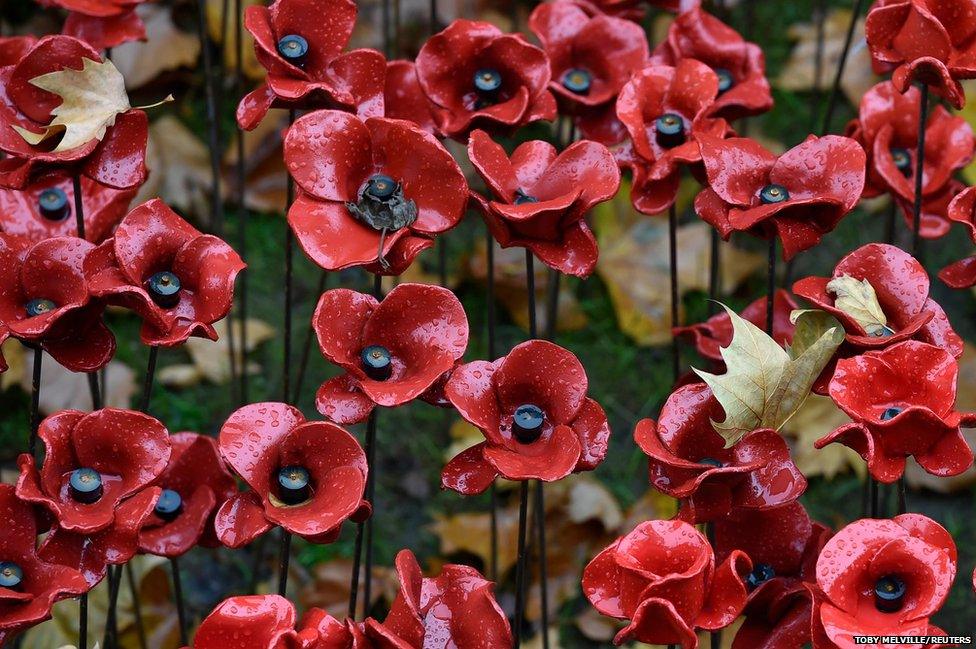 Fallen leaves are seen on ceramic poppies