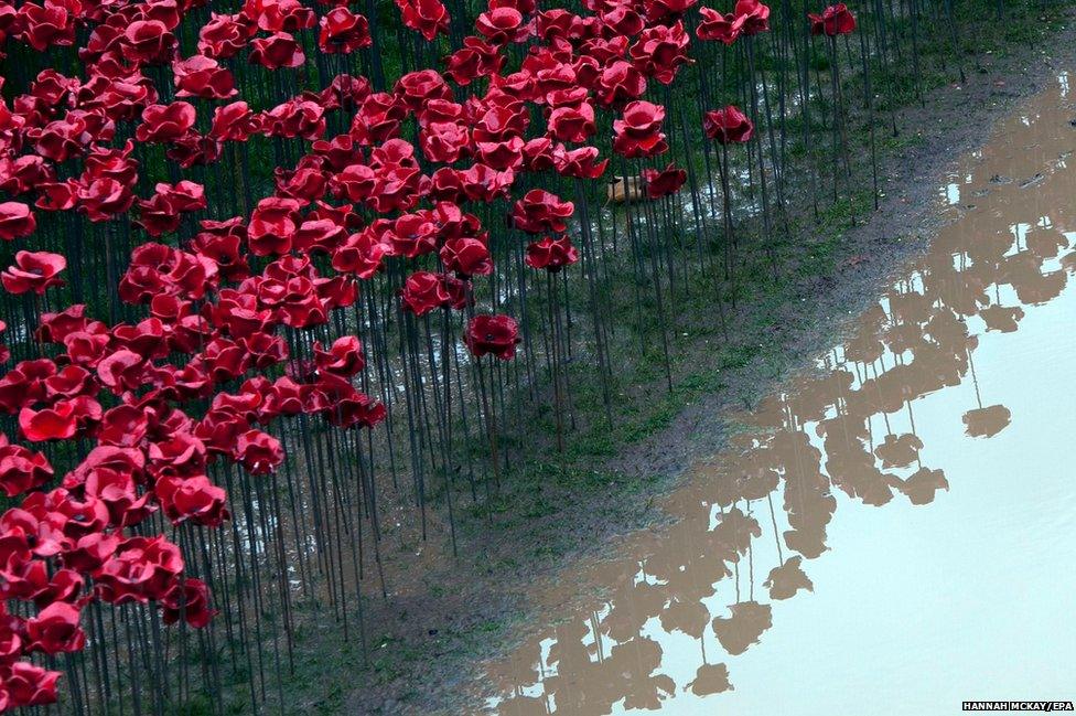 Red ceramic poppies (2 November 2014)