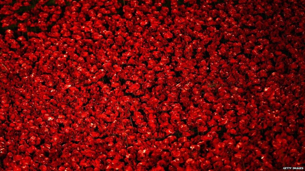 Ceramic poppies at the Tower of London