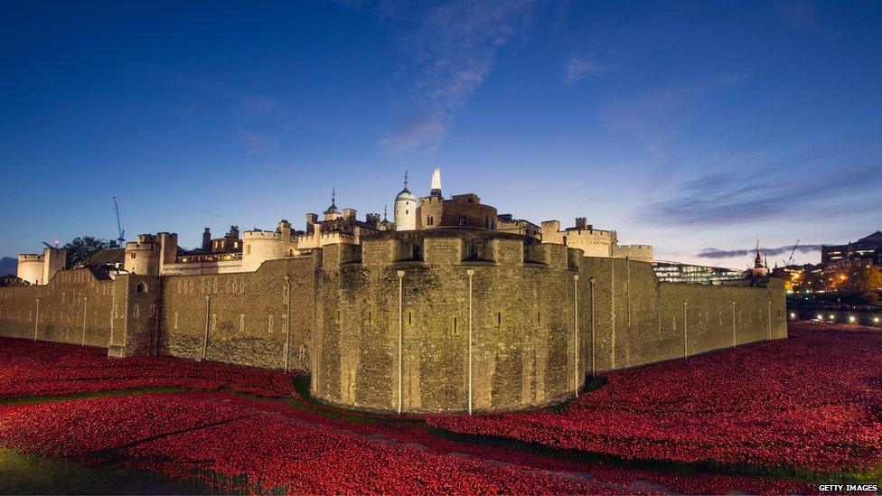 Ceramic poppies at the Tower of London