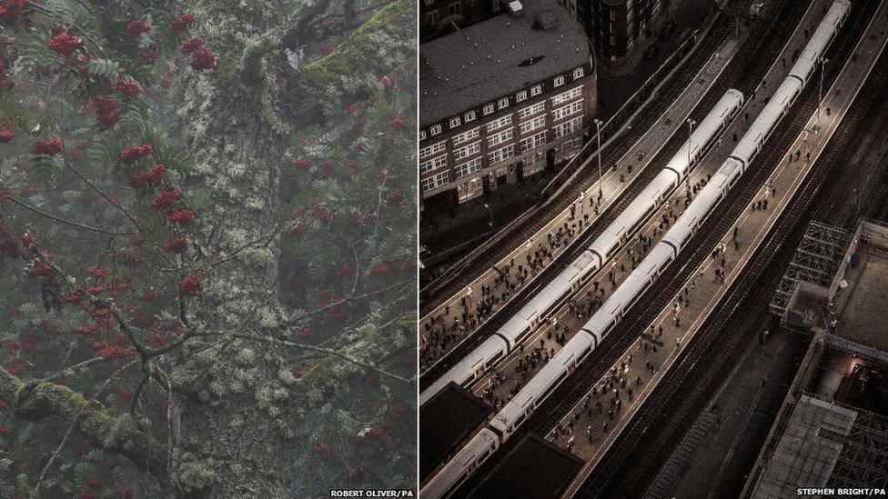 Bowdown Berries and London Bridge Station