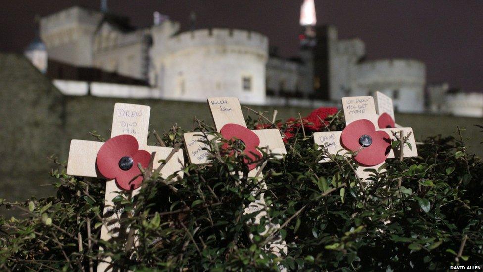 Poppies at Tower Hill