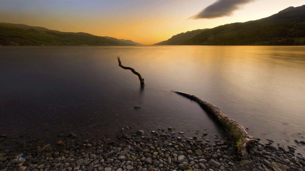 Tree trunk in Loch Ness