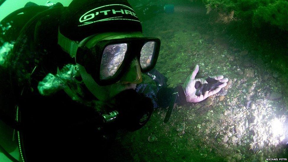 Diver recovering flint