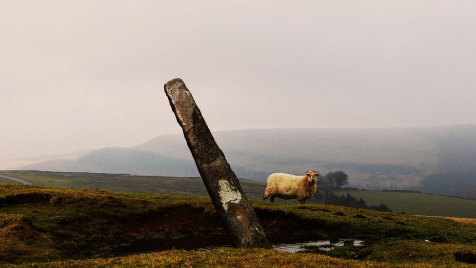 The Gelligaer Standing Stone on Pen Garnbugail at Gelligaer Common