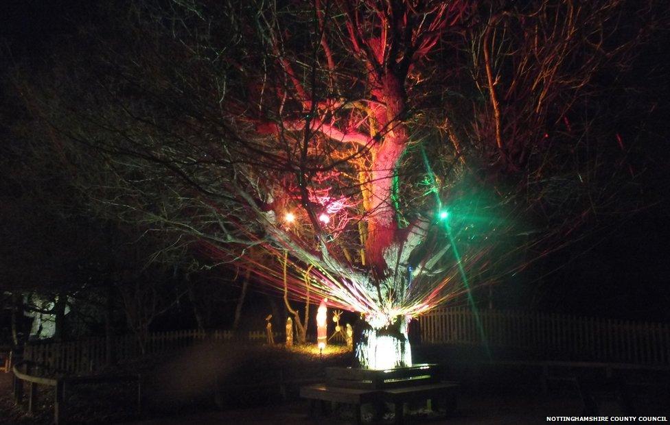 Visitor centre tree