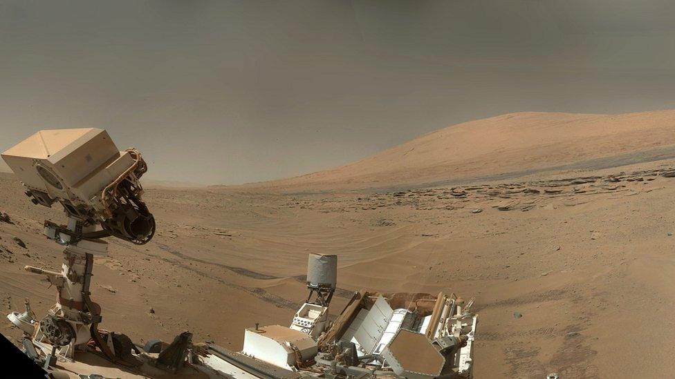 MSL selfie