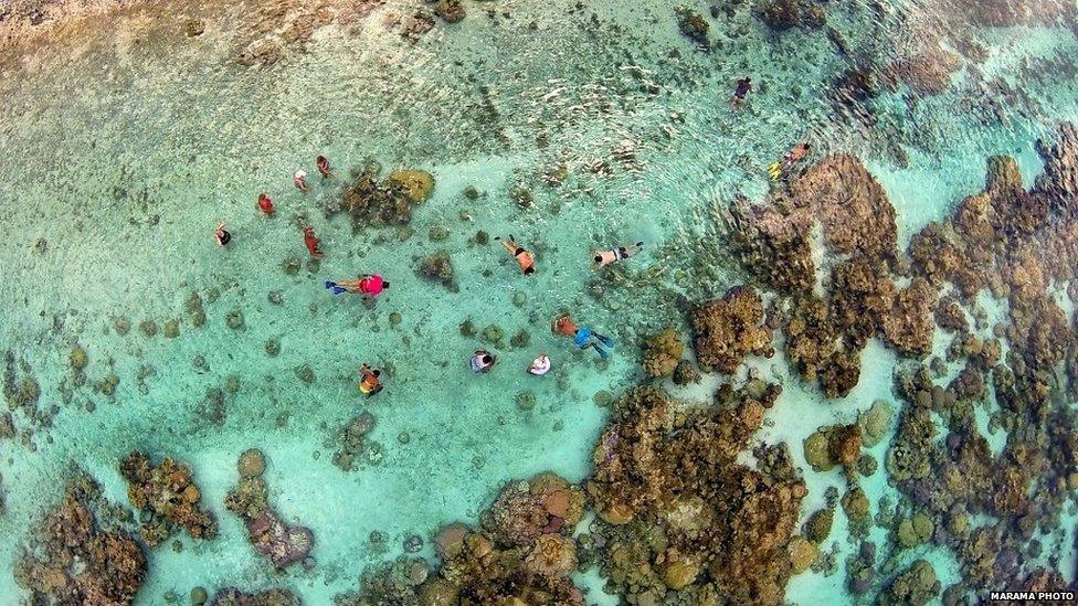 Coral Garden in Tahaa's Lagoon, French Polynesia
