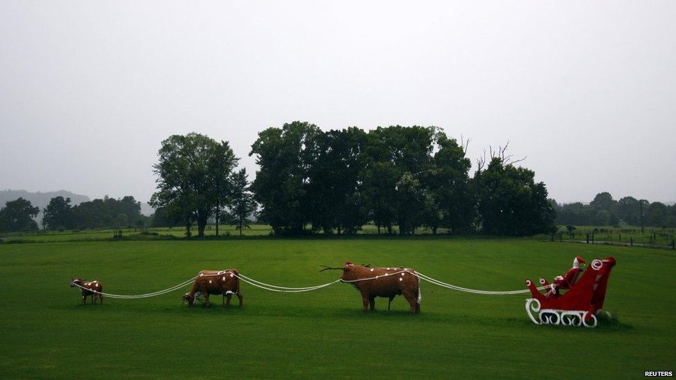 A sculpture featuring cows as reindeers attached to a sleigh with Santa Claus is seen in a paddock located on the outskirts of the southern New South Wales town of Berry on Christmas Day December 25, 2014