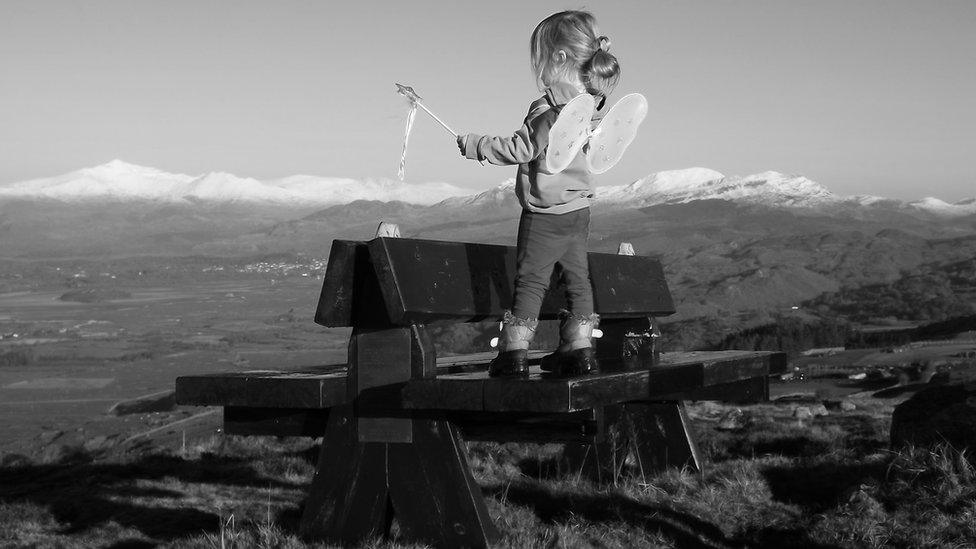 Foel Senig, near Harlech.