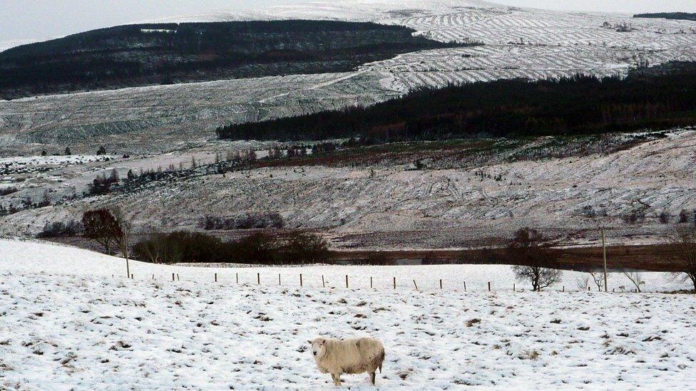 Peter Steggles said gusts reached 90mph in Altass, Sutherland.