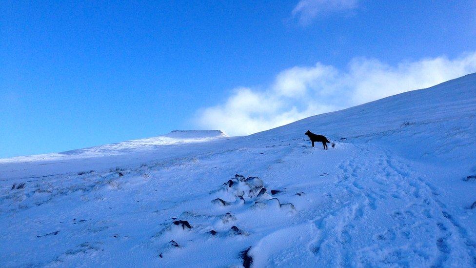 Pen y Fan in the Brecon Beacons