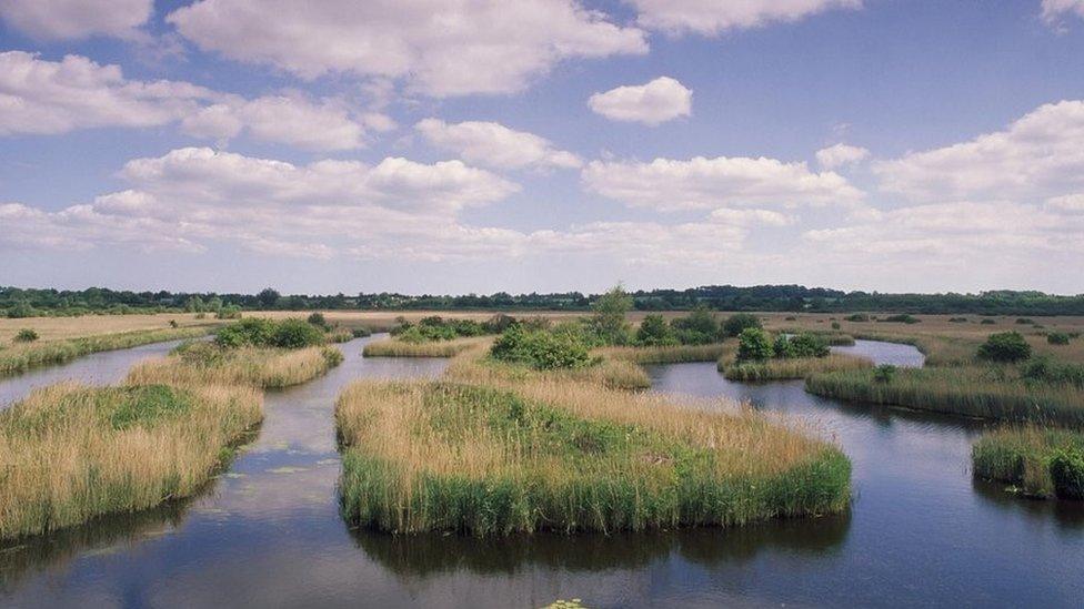 Norfolk Broads