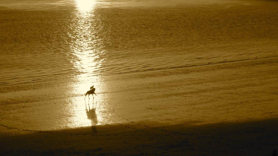 Emma James, who is from Barry, Vale of Glamorgan, but now lives in London, captured this picture of a horse enjoying a run out on the sands on Barry Island.