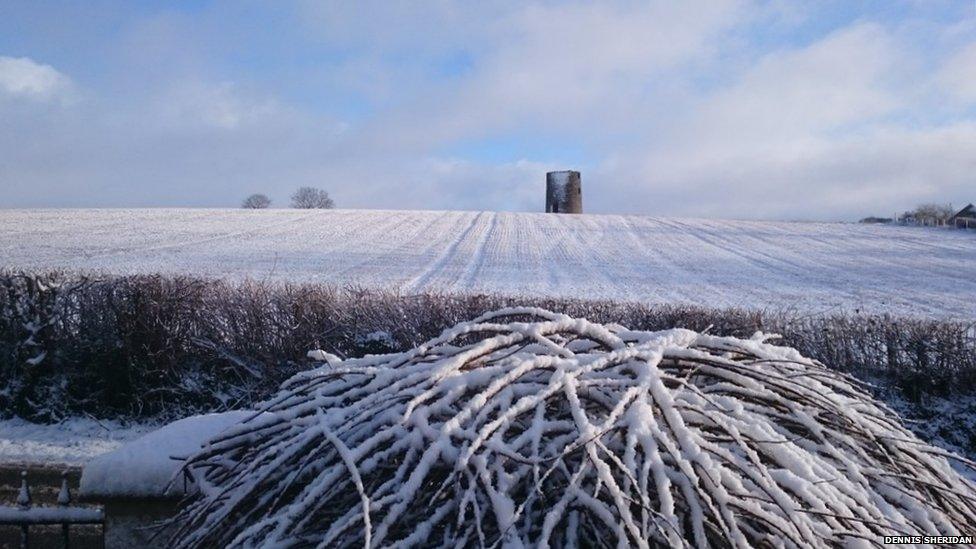 Dennis Sheridan. boardmills