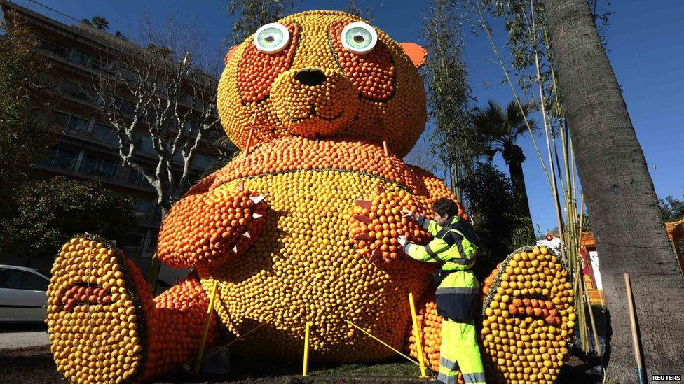 Lemon Festival