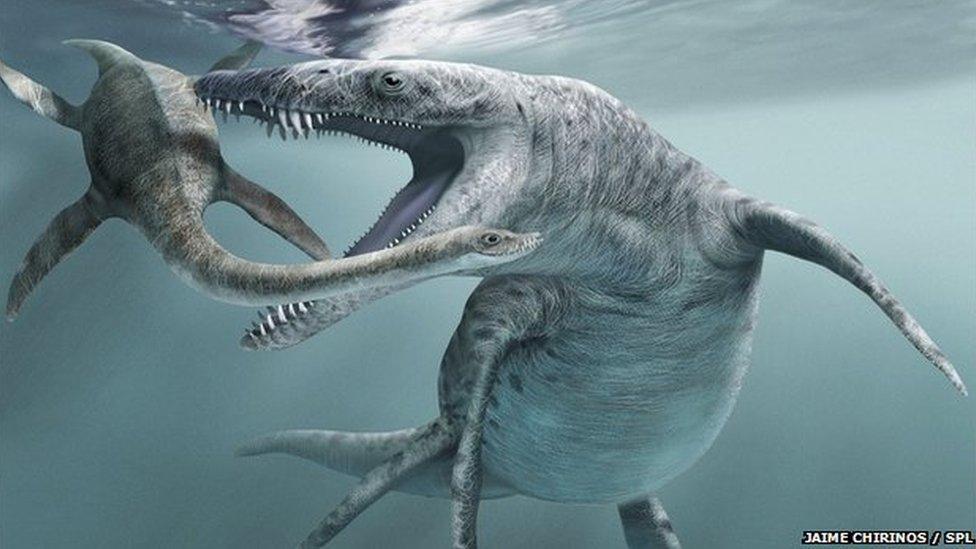 Extinct marine reptiles