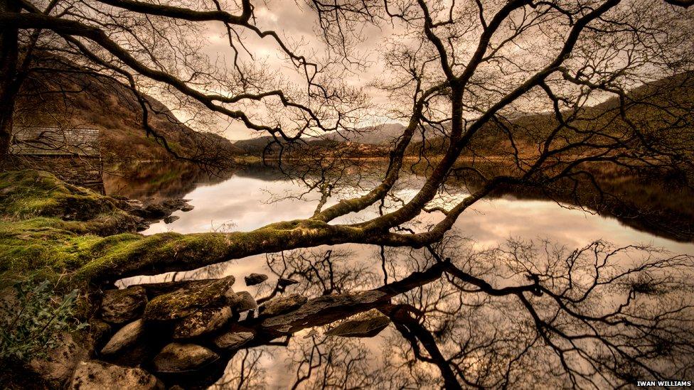 Iwan Williams from Llanrug, Gwynedd, took this picture at Llyn Dinas lake, Beddgelert.