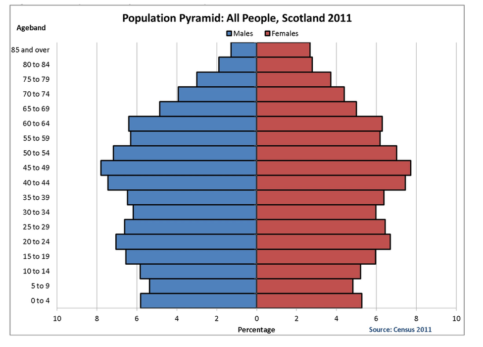 population pyramid