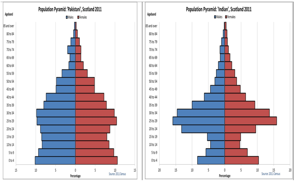 population pyramid