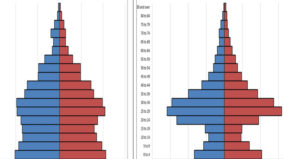 population pyramid