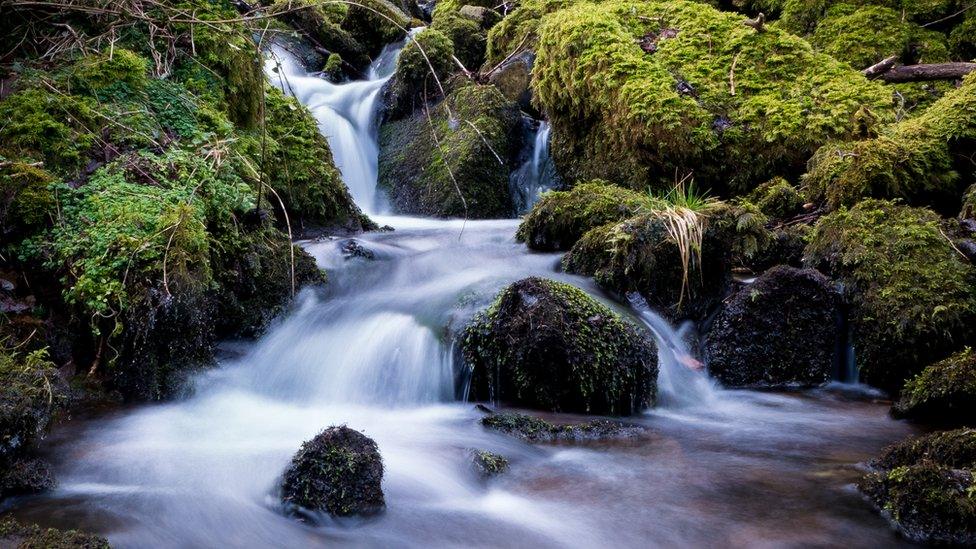 Miles Gladson took this picture during a family walk at Llangattock, near Abergavenny