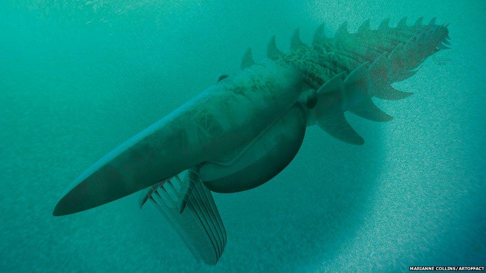 Two metre lobster from 480 million years ago