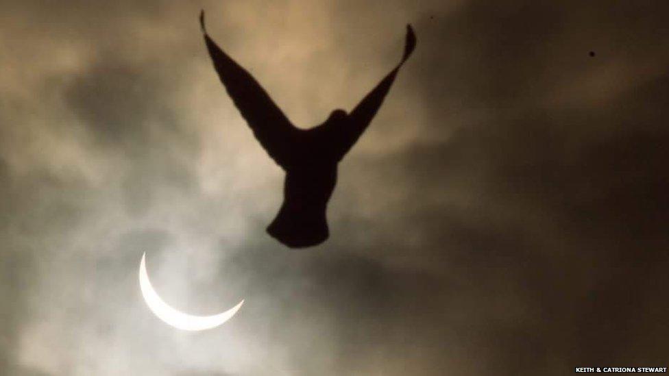 A bird flies in the foreground during a solar eclipse over Birmingham, England