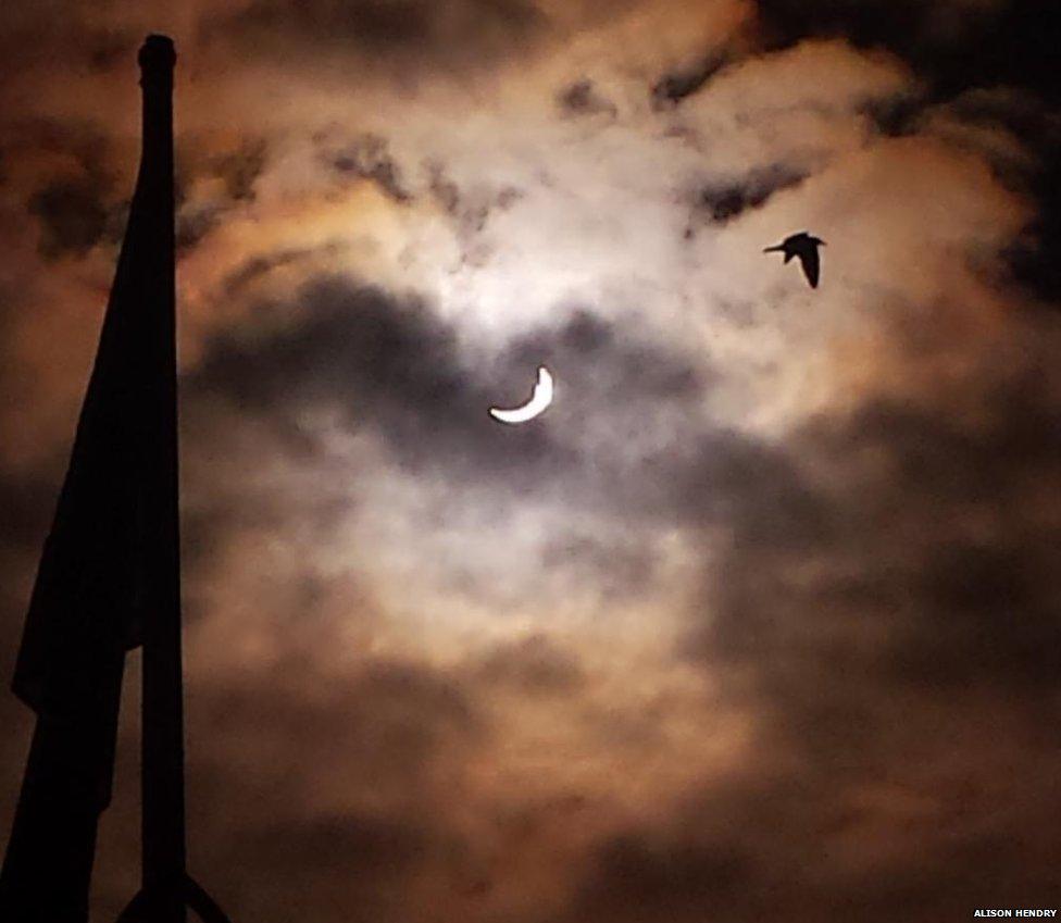 A bird flies in the foreground during a solar eclipse over Perth And Kinross, Scotland