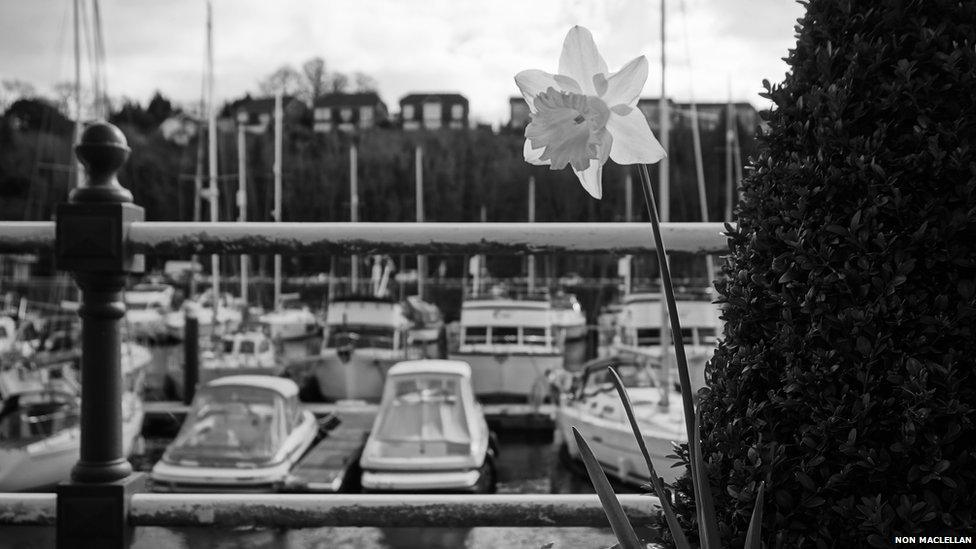 Non MacLellan took this shot at Penarth marina during a walk