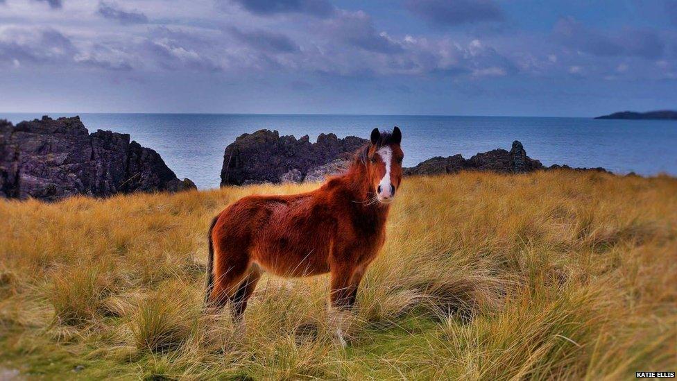 Newborough beach on Anglesey as seen by Katie Ellis