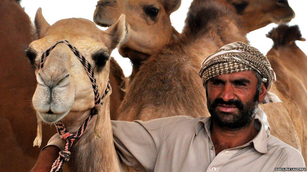 Camel trader in Al Ain camel market