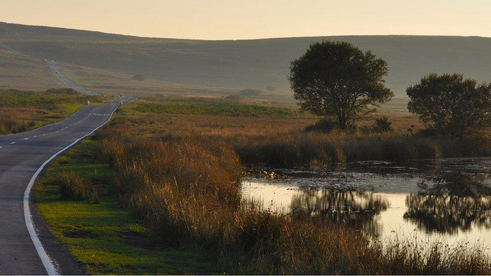 Stuart Williams took this image of the road at Cefyn Bryn on the Gower peninsula