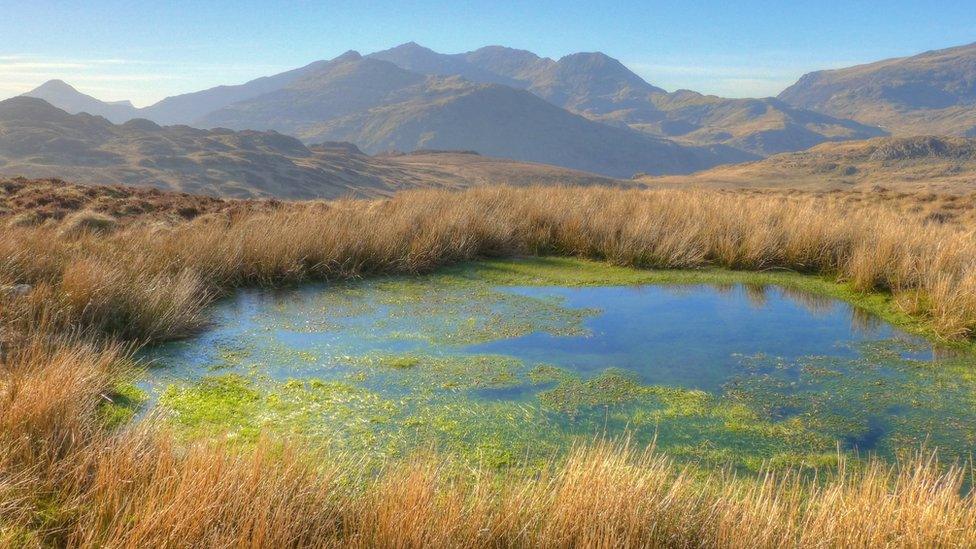 A view of the Snowdon range from Ysgafell Wen taken by Pete Whitehead of Y Felinheli. Gwynedd