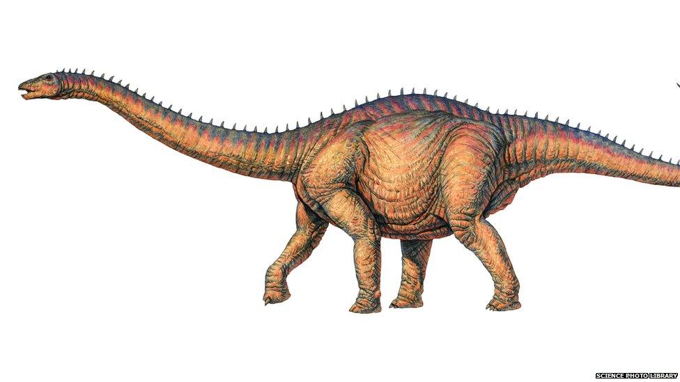 Apatosaurus