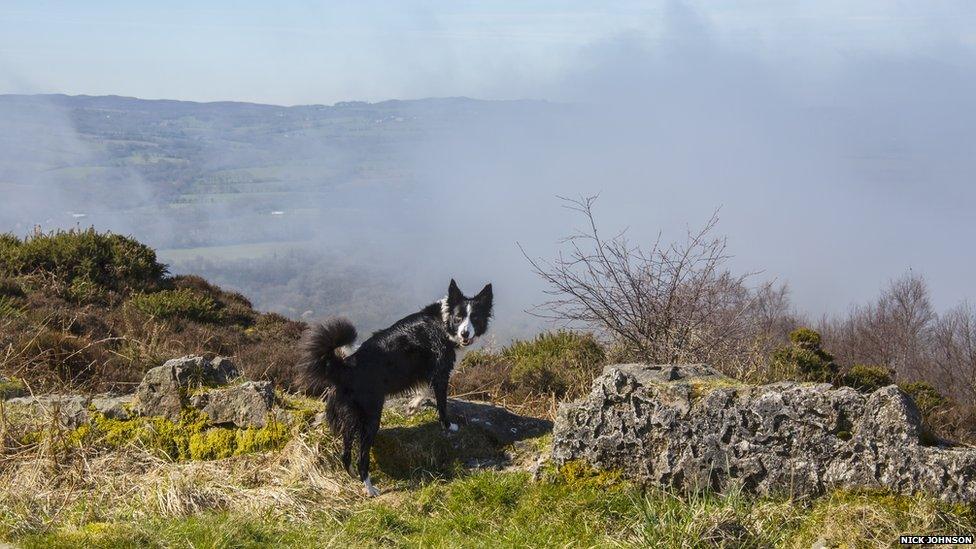 Nick Johnson took this picture on Hope Mountain, near Wrexham