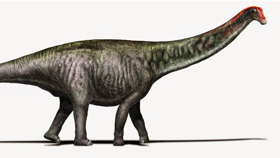 What a Brontosaurus was thought to look like