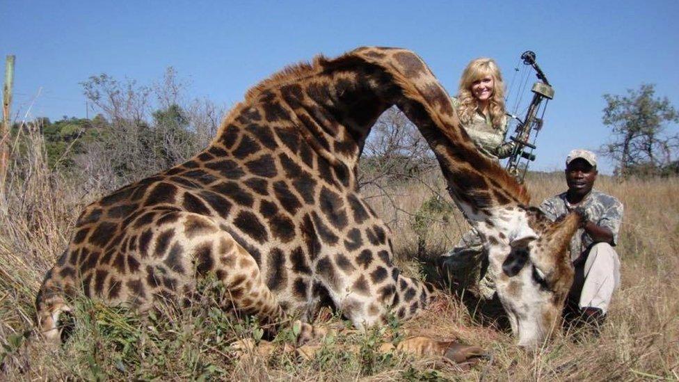 Rebecca Francis poses with dead giraffe