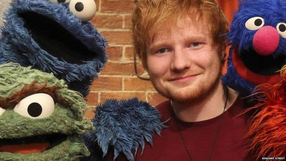 Ed Sheeran on Sesame Street