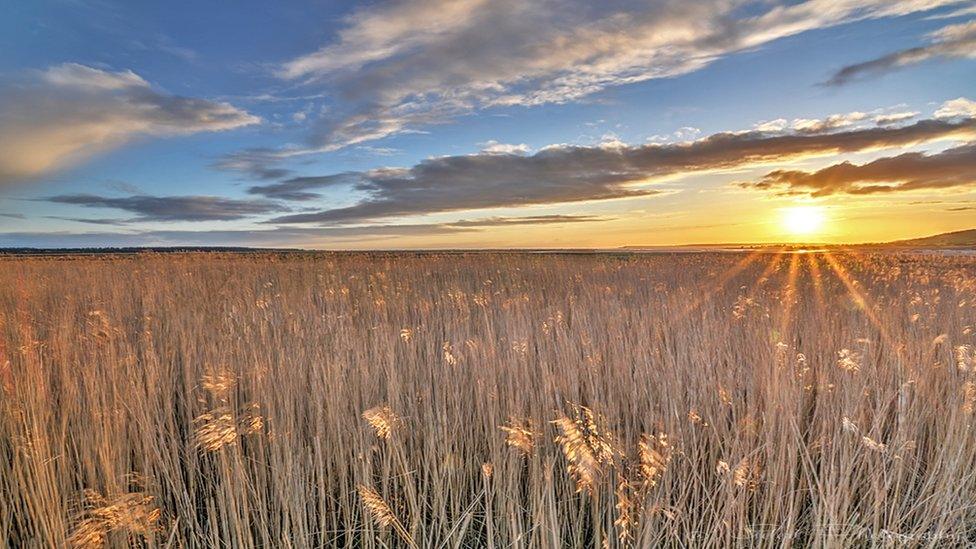 Wayne Jones from Pembrey took this picture near the mouth of the Gwendraeth Fach, south of Kidwelly