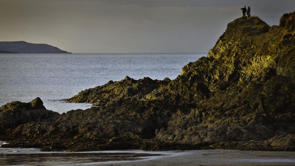 Colin Riddle took this picture of dog walkers on the cliffs at Porthgwaelod, north Pembrokeshire