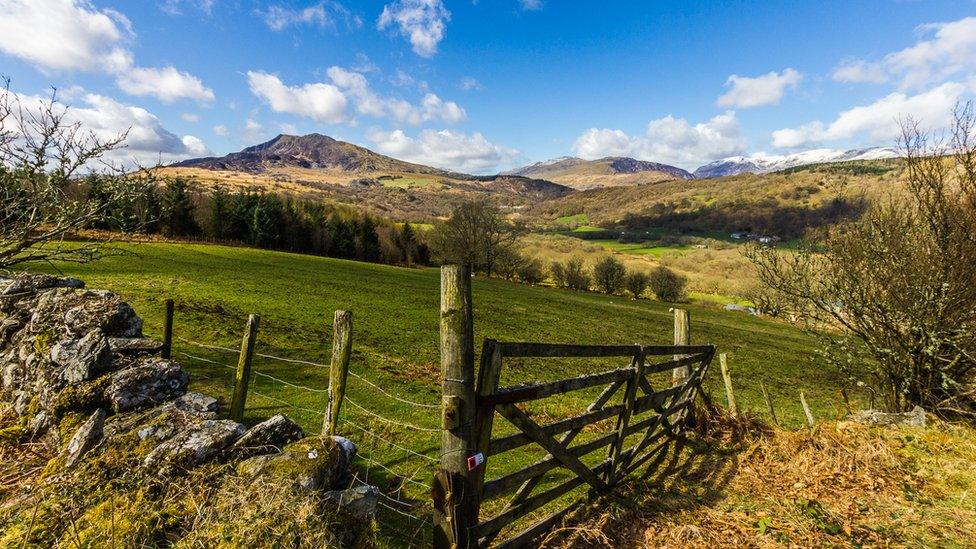 A view of Moel Siabod and the Carneddau range taken from Gwydyr Forest, Betws y Coed by Stephen Morris of St Asaph