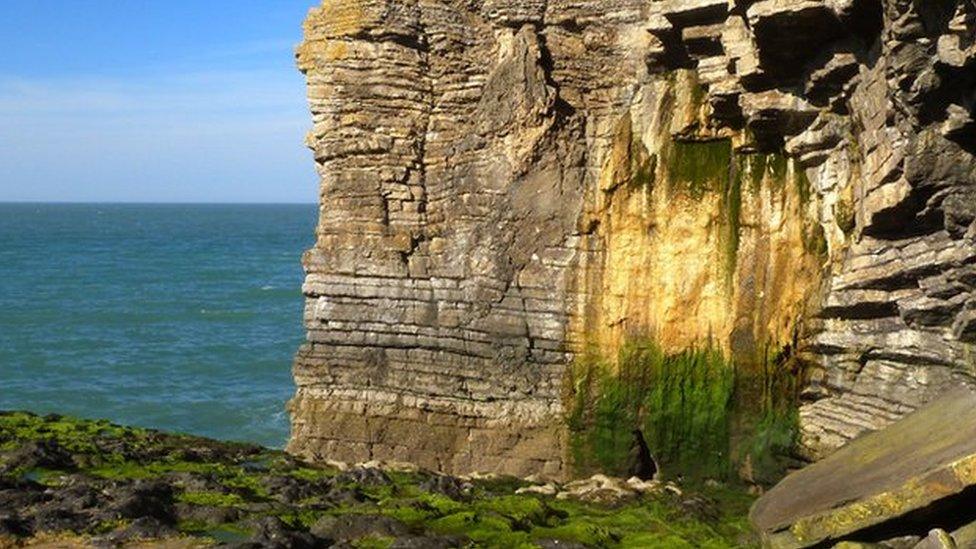 Pete Whitehead, of Y Felinheli,,Gwynedd, found this colourful rock formation while exploring a little walked section of the Anglesey coast between Mariandyrys and Penmon