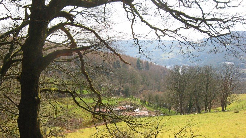 Early spring on a walk called the Raven in Risca,Gwent taken by Susan Westacott