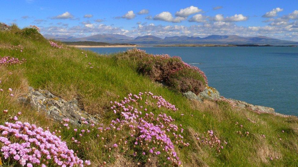 A view looking over Malltraeth Bay, Anglesey across Llanddwyn Island to Snowdonia from Trwyn Y Parc taken by Pete Whitehead