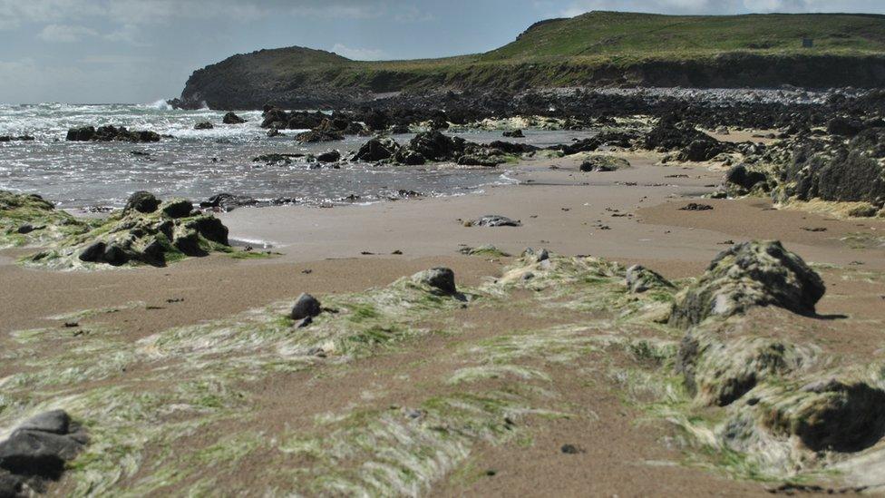 Justyna Markiewicz took this picture at Llangennith beach, Gower Peninsula