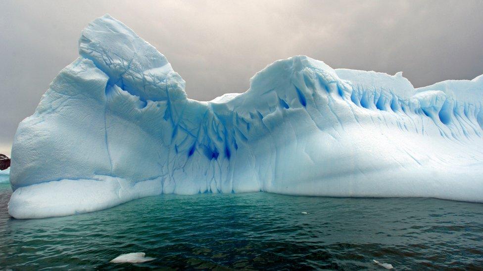 Icebergs drift in the sea in Cierva Cove, on the coast of the Antarctic Peninsula in Antarctica